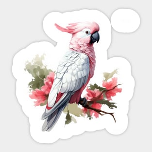 Rose Breasted Cockatoo Sticker